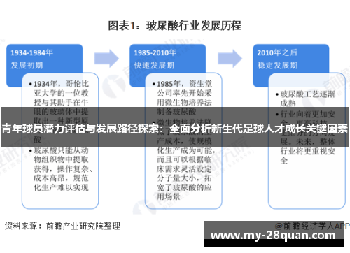 青年球员潜力评估与发展路径探索：全面分析新生代足球人才成长关键因素