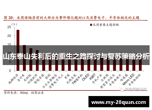 山东泰山失利后的重生之路探讨与复苏策略分析