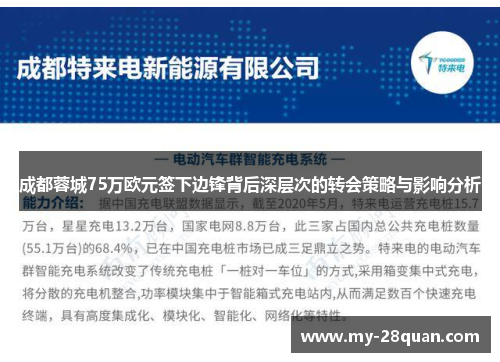 成都蓉城75万欧元签下边锋背后深层次的转会策略与影响分析