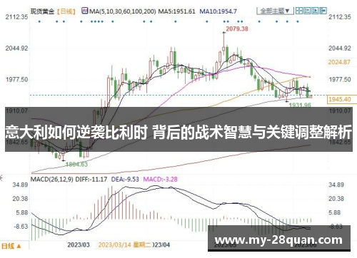 意大利如何逆袭比利时 背后的战术智慧与关键调整解析