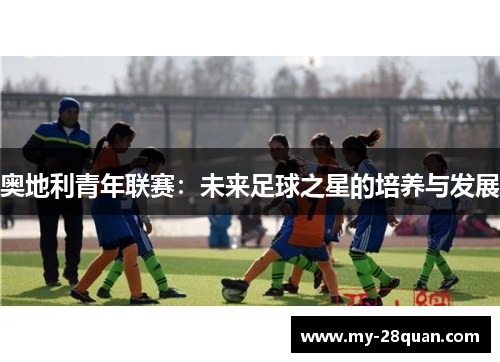 奥地利青年联赛：未来足球之星的培养与发展