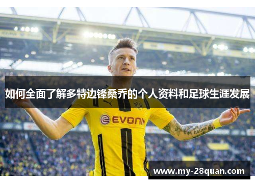 如何全面了解多特边锋桑乔的个人资料和足球生涯发展