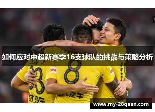 如何应对中超新赛季16支球队的挑战与策略分析